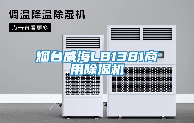 烟台威海LB1381商用除湿机