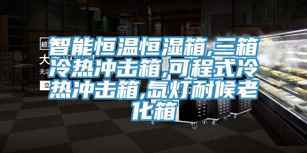 智能恒温恒湿箱,三箱冷热冲击箱,可程式冷热冲击箱,氙灯耐候老化箱