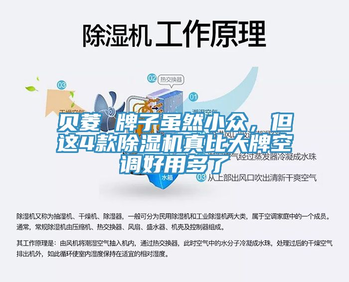 贝菱 牌子虽然小众，但这4款除湿机真比大牌空调好用多了