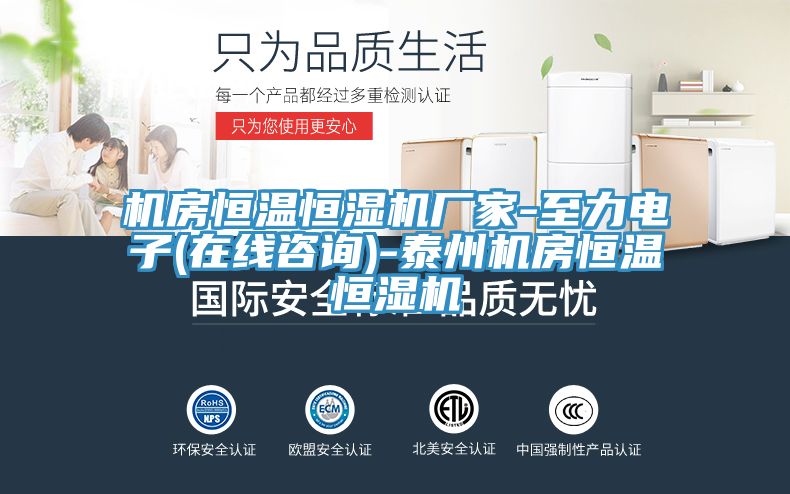 机房恒温恒湿机厂家-至力电子(在线咨询)-泰州机房恒温恒湿机