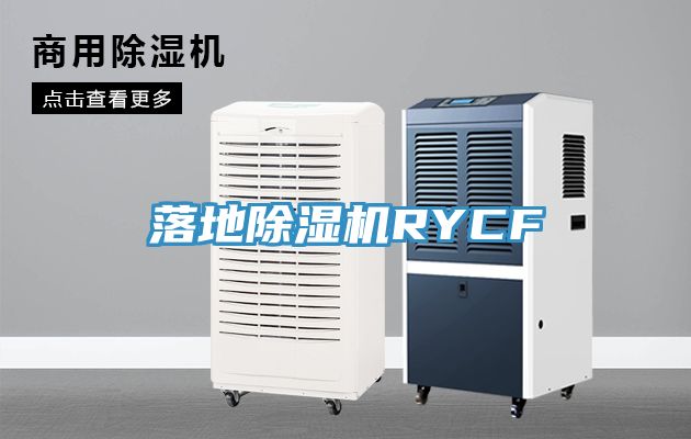 落地除湿机RYCF