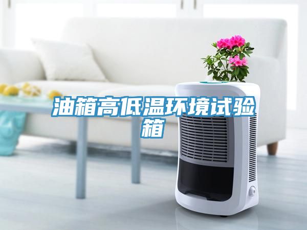 油箱高低温环境试验箱
