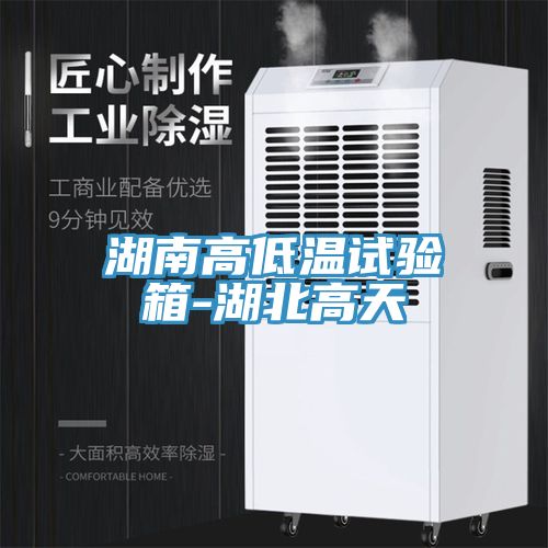 湖南高低温试验箱-湖北高天