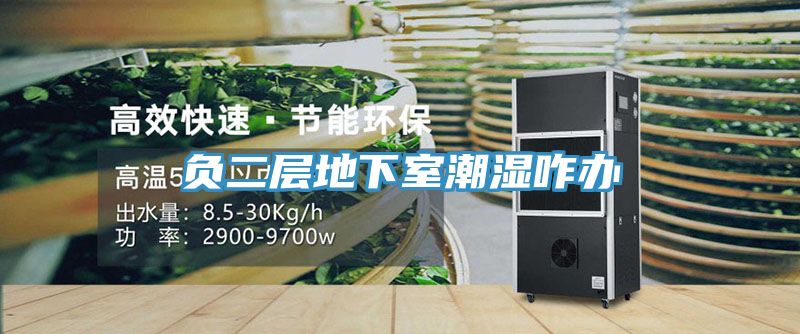 负二层地下室潮湿咋办