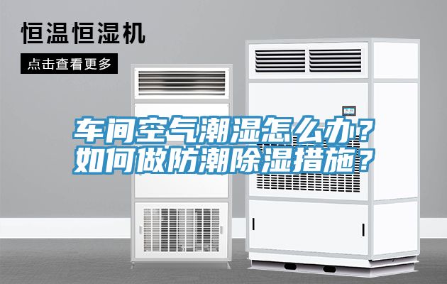 车间空气潮湿怎么办？如何做防潮除湿措施？