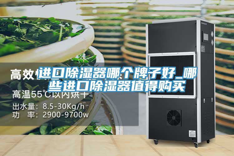 进口除湿器哪个牌子好_哪些进口除湿器值得购买