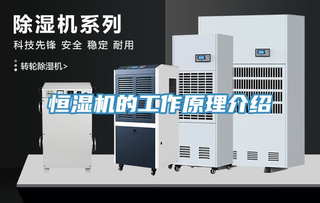 恒湿机的工作原理介绍