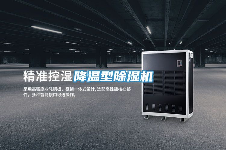 降温型除湿机