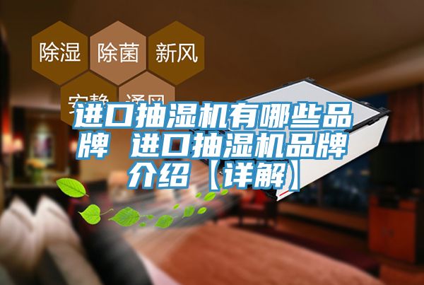 进口抽湿机有哪些品牌 进口抽湿机品牌介绍【详解】