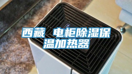 西藏 电柜除湿保温加热器