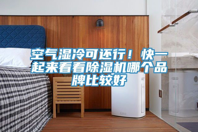 空气湿冷可还行！快一起来看看除湿机哪个品牌比较好