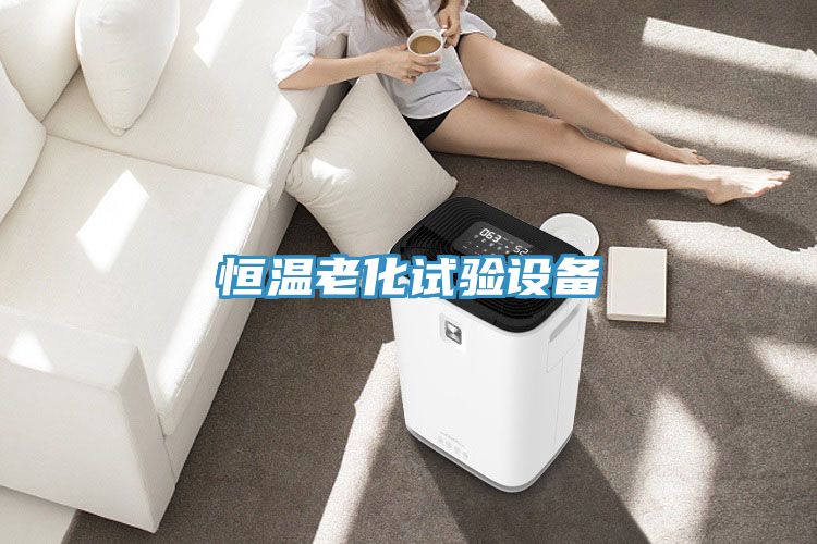恒温老化试验设备