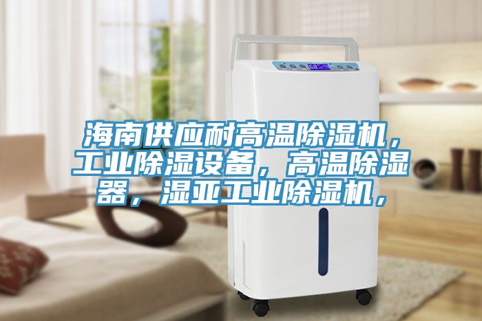 海南供应耐高温除湿机，工业除湿设备，高温除湿器，湿亚工业除湿机，