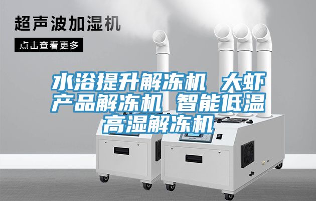 水浴提升解冻机 大虾产品解冻机 智能低温高湿解冻机