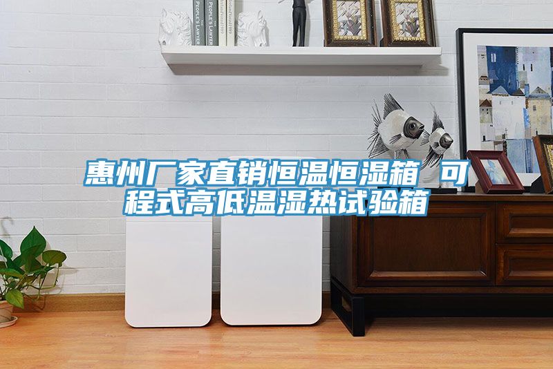惠州厂家直销恒温恒湿箱 可程式高低温湿热试验箱