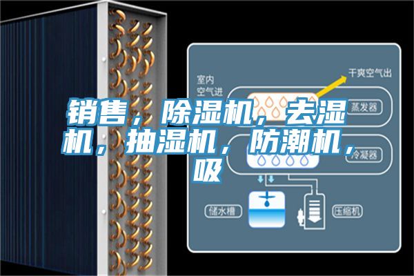 销售，除湿机，去湿机，抽湿机，防潮机，吸
