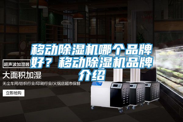 移动除湿机哪个品牌好？移动除湿机品牌介绍