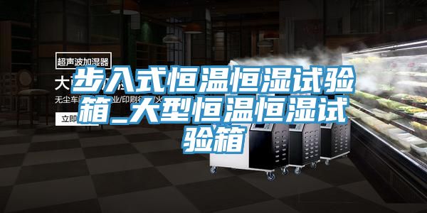 步入式恒温恒湿试验箱_大型恒温恒湿试验箱