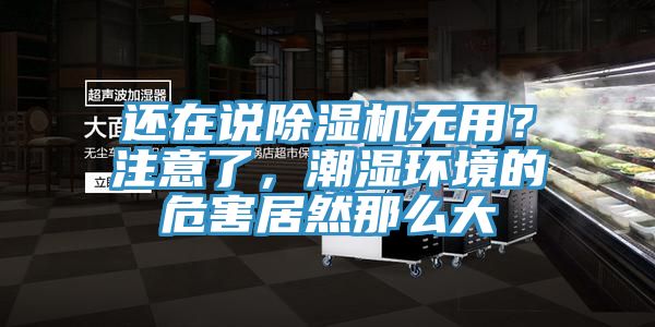 还在说除湿机无用？注意了，潮湿环境的危害居然那么大