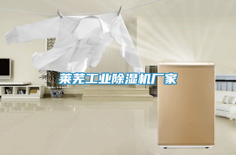莱芜工业除湿机厂家