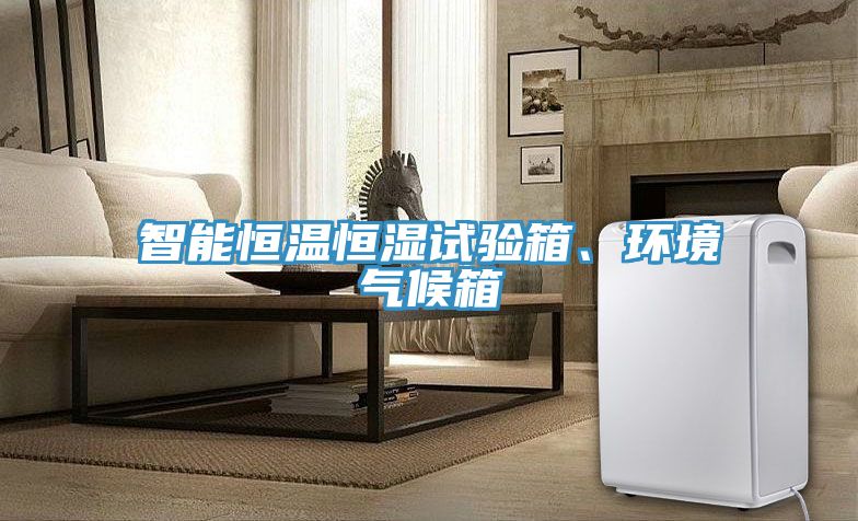 智能恒温恒湿试验箱、环境气候箱