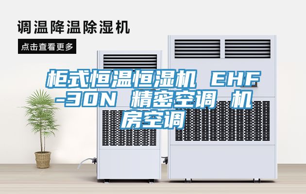 柜式恒温恒湿机 EHF-30N 精密空调 机房空调