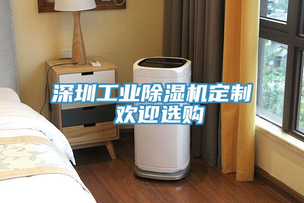 深圳工业除湿机定制 欢迎选购