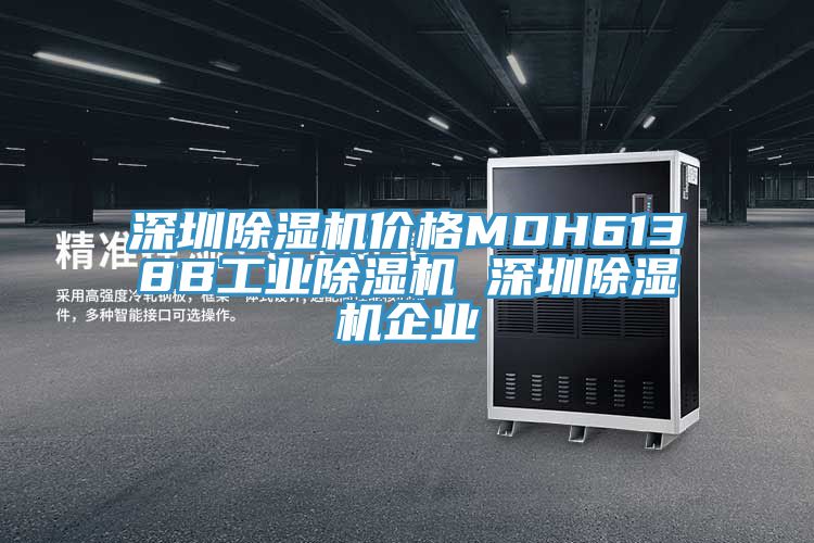 深圳除湿机价格MDH6138B工业除湿机 深圳除湿机企业