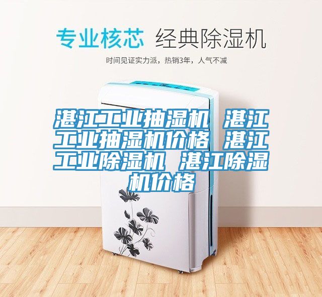 湛江工业抽湿机 湛江工业抽湿机价格 湛江工业除湿机 湛江除湿机价格