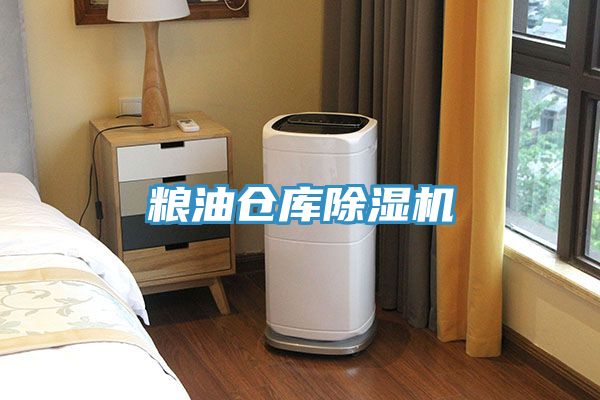 粮油仓库除湿机