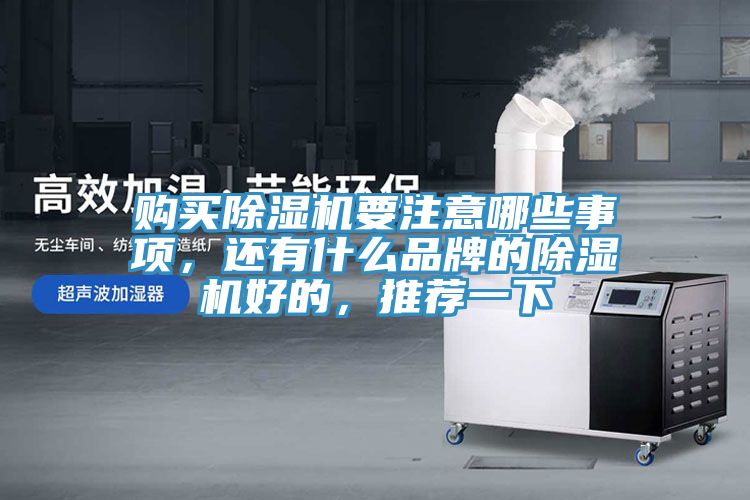 购买除湿机要注意哪些事项，还有什么品牌的除湿机好的，推荐一下