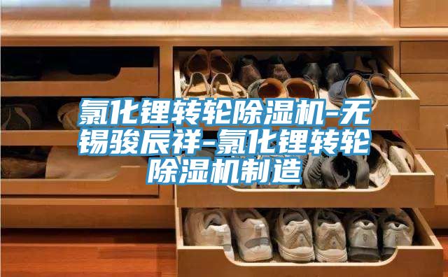 氯化锂转轮除湿机-无锡骏辰祥-氯化锂转轮除湿机制造