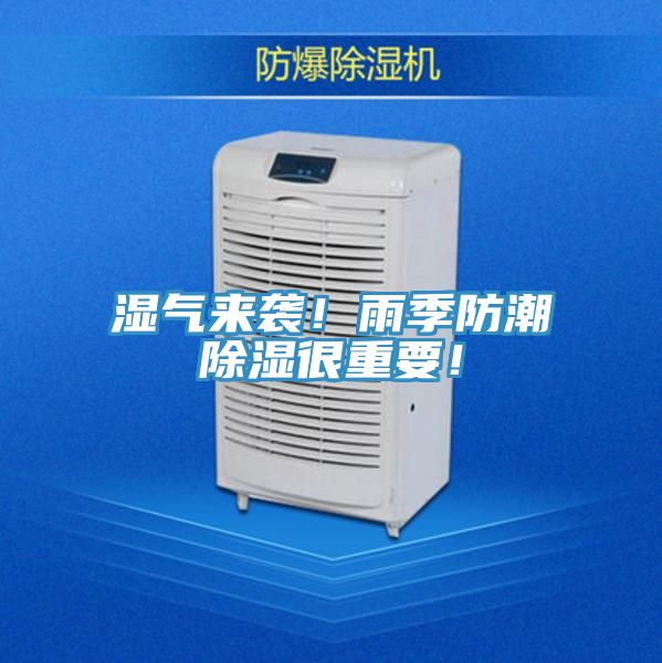 湿气来袭！雨季防潮除湿很重要！