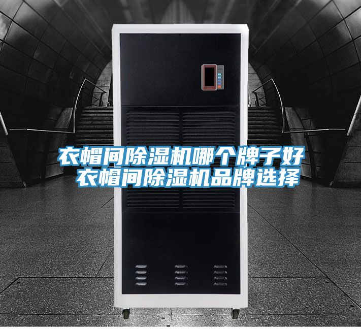衣帽间除湿机哪个牌子好 衣帽间除湿机品牌选择