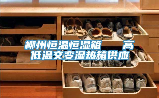 柳州恒温恒湿箱   高低温交变湿热箱供应