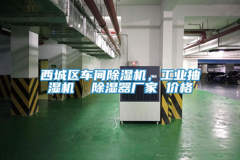 西城区车间除湿机，工业抽湿机  除湿器厂家 价格