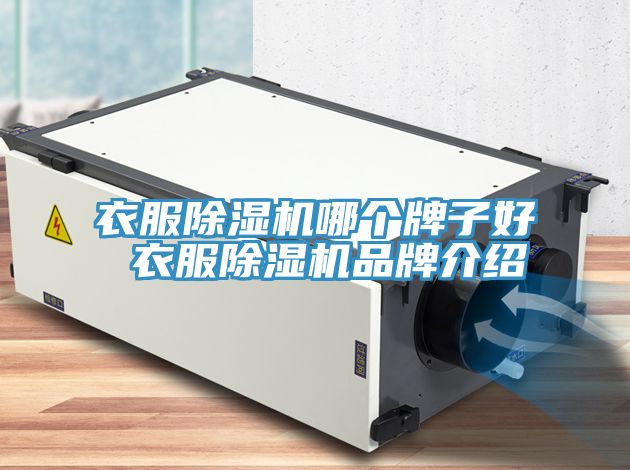 衣服除湿机哪个牌子好 衣服除湿机品牌介绍