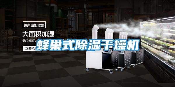 蜂巢式除湿干燥机