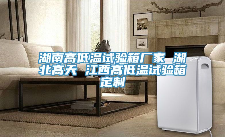 湖南高低温试验箱厂家 湖北高天 江西高低温试验箱定制