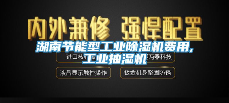 湖南节能型工业除湿机费用,工业抽湿机