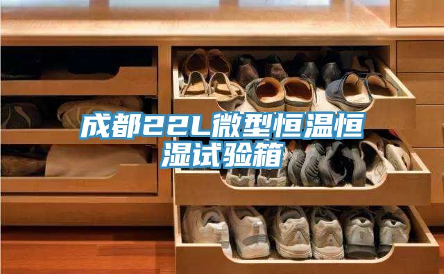 成都22L微型恒温恒湿试验箱