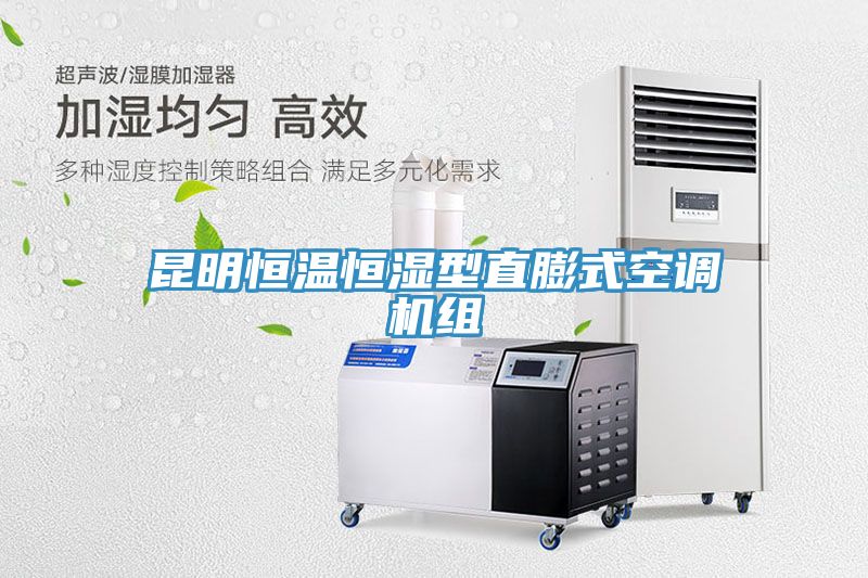 昆明恒温恒湿型直膨式空调机组