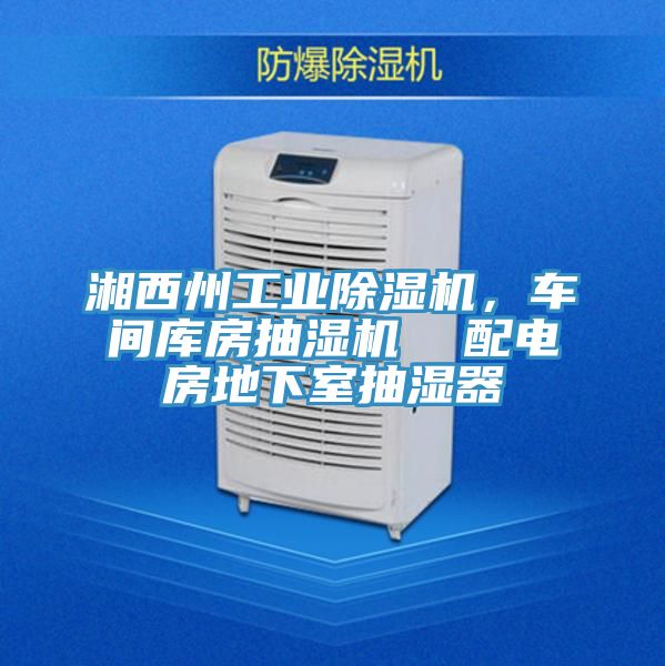 湘西州工业除湿机，车间库房抽湿机  配电房地下室抽湿器
