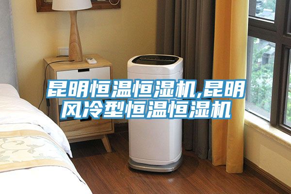 昆明恒温恒湿机,昆明风冷型恒温恒湿机