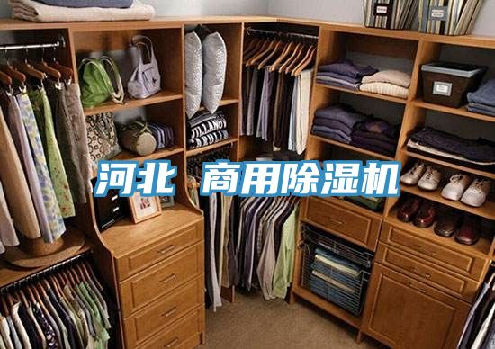 河北 商用除湿机