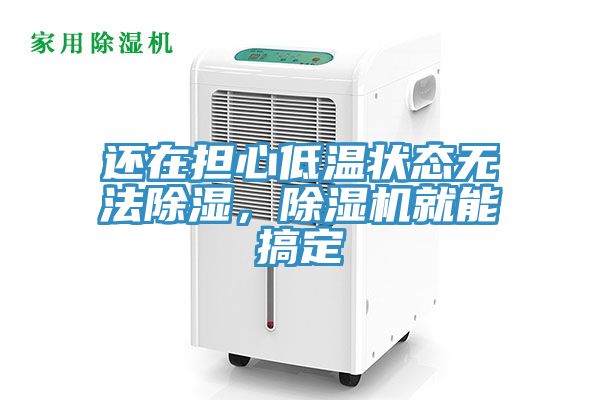还在担心低温状态无法除湿，除湿机就能搞定