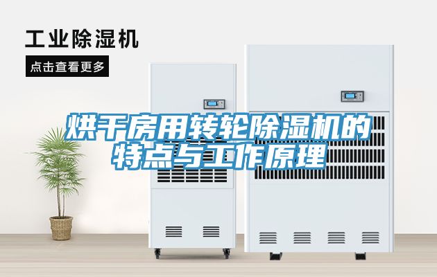 烘干房用转轮除湿机的特点与工作原理