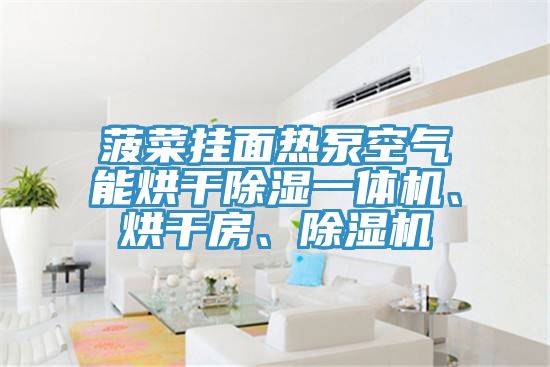 菠菜挂面热泵空气能烘干除湿一体机、烘干房、除湿机