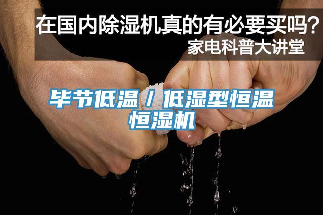 毕节低温／低湿型恒温恒湿机