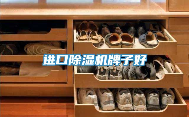 进口除湿机牌子好